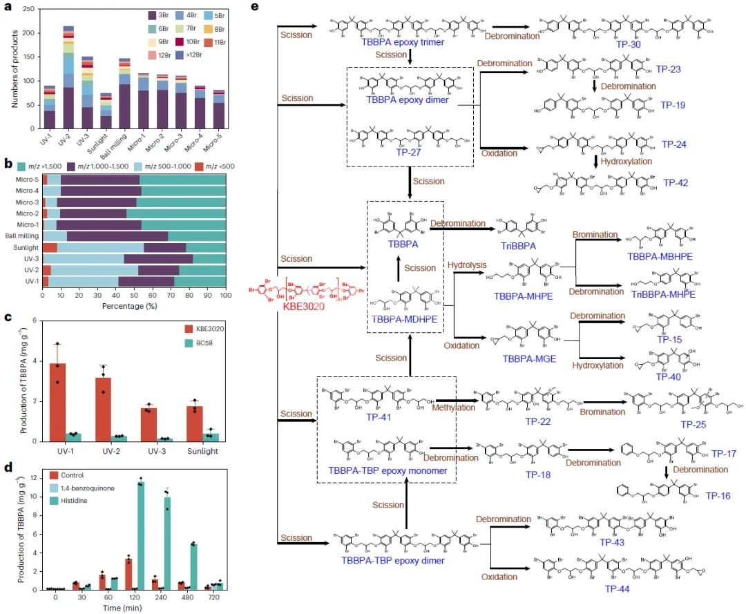 Figure 3. Exploration of PolyTBBPA Degradation Products and Pathways الشكل 3. استكشاف منتجات ومسارات تحلل PolyTBBPA
