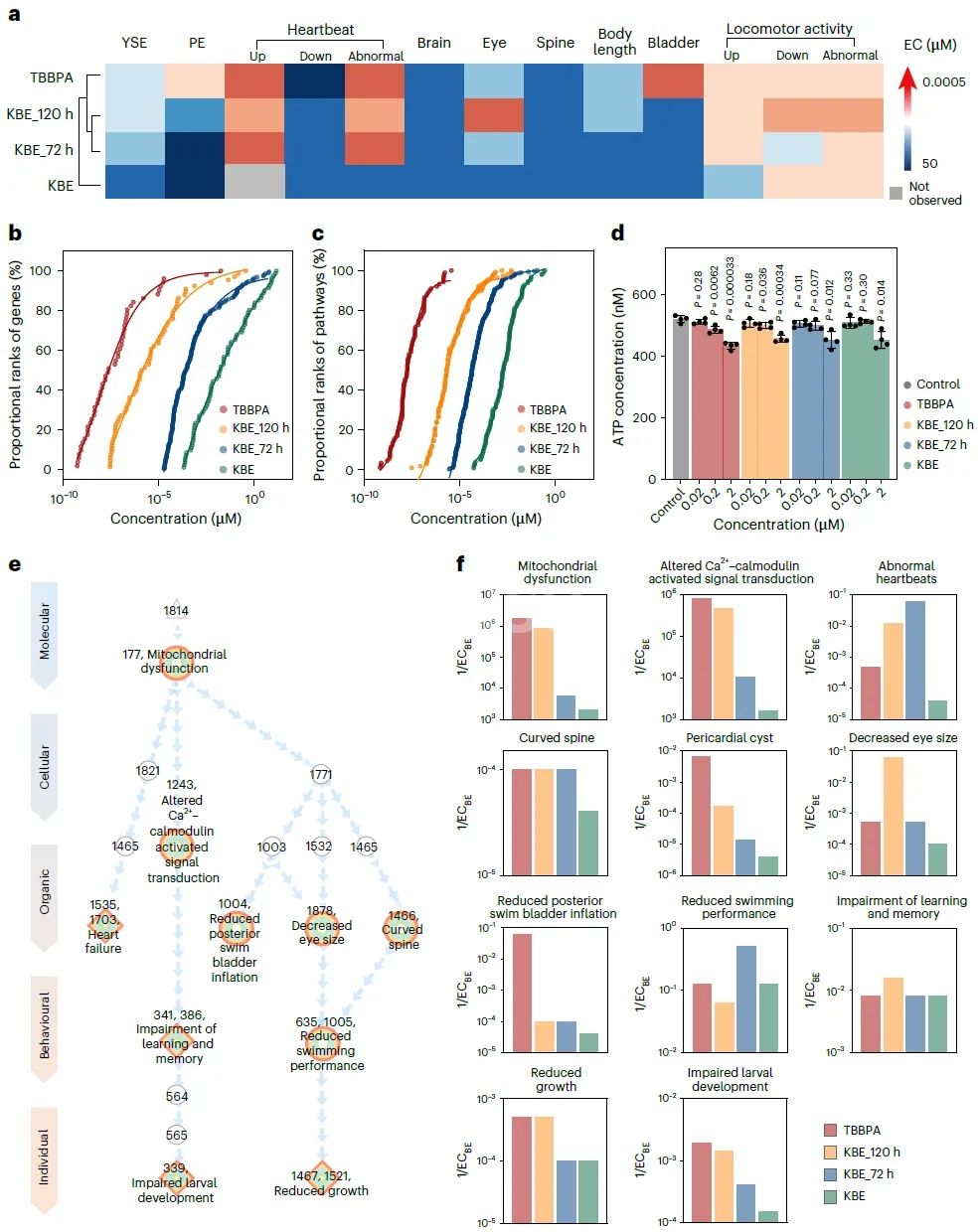 Figure 5. Embryonic Development Toxicity in Zebrafish الشكل 5. سمية التنمية الجنينية في الزرد