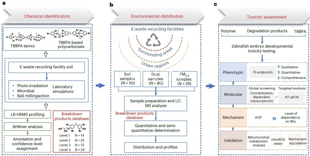 Figure 1. Investigating the degradation of polyTBBPA and its subsequent environmental or health risks الشكل 1. التحقيق في تدهور polyTBB PA ومخاطره البيئية أو الصحية اللاحقة