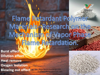 //ilrorwxhnnrilj5q-static.micyjz.com/cloud/lqBprKkqlrSRmkiiljlpjo/Flame-Retardant-Polymer-Materials-Research-on-the-Mechanism-of-Vapor-Phase-Flame-Retardation.jpg