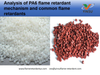 //ilrorwxhnnrilj5q-static.micyjz.com/cloud/lrBprKkqlrSRqkopjonpjp/Analysis-of-PA6-flame-retardant-mechanism-and-common-flame-retardants.jpg